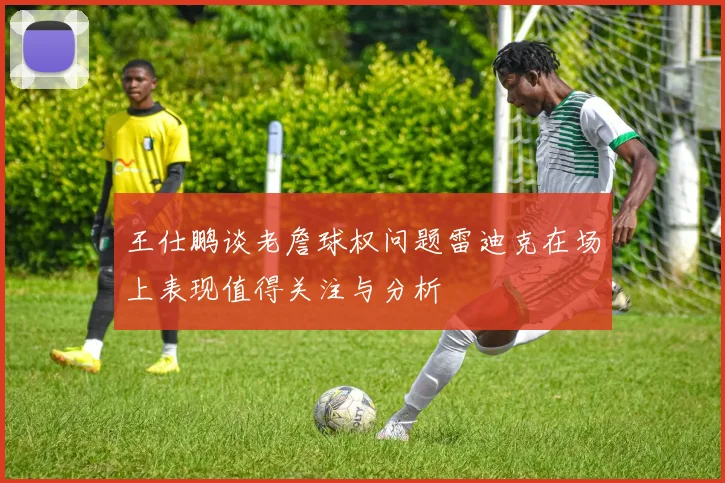 王仕鹏谈老詹球权问题雷迪克在场上表现值得关注与分析