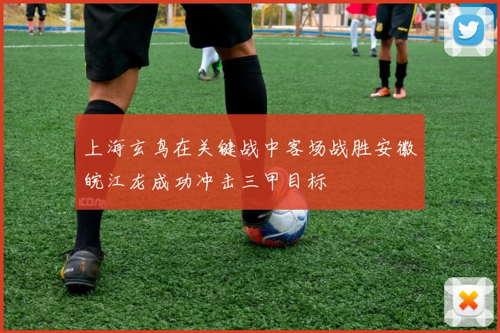 上海玄鸟在关键战中客场战胜安徽皖江龙成功冲击三甲目标