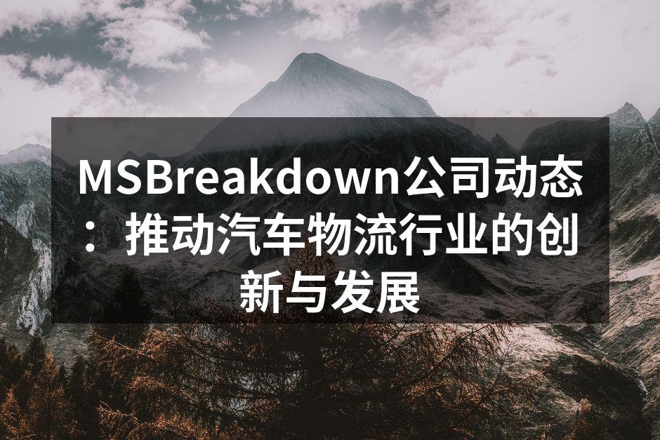 MSBreakdown团队在技术会议上交流