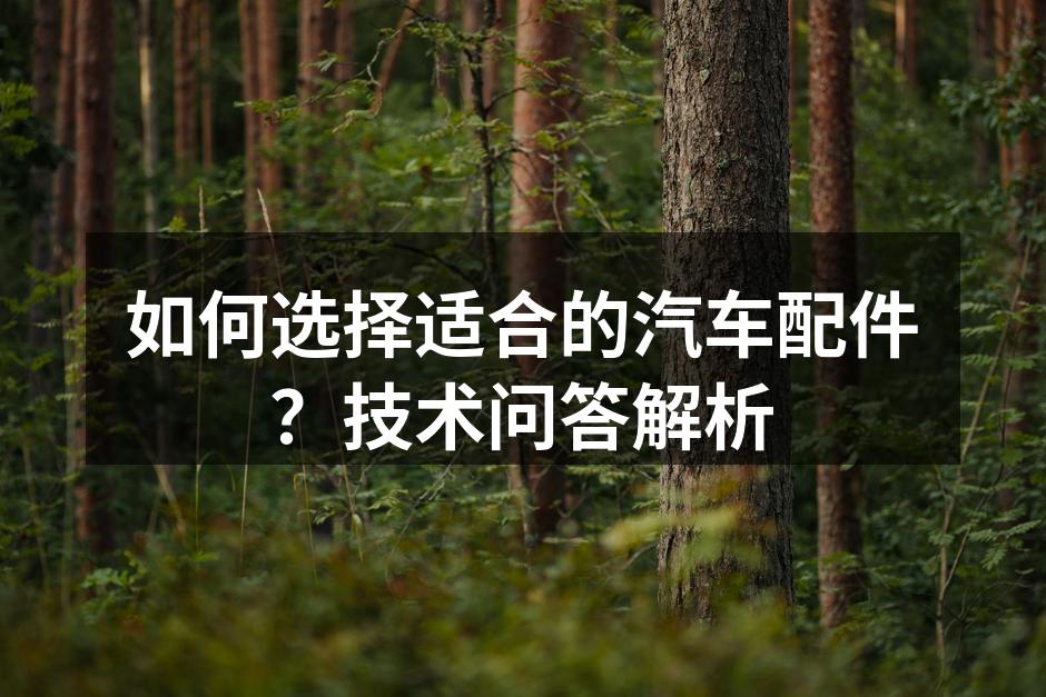 选择适合的汽车配件,提高行车安全