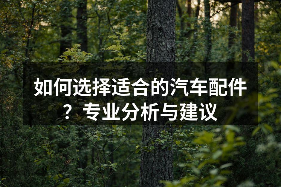 汽车配件分类图解