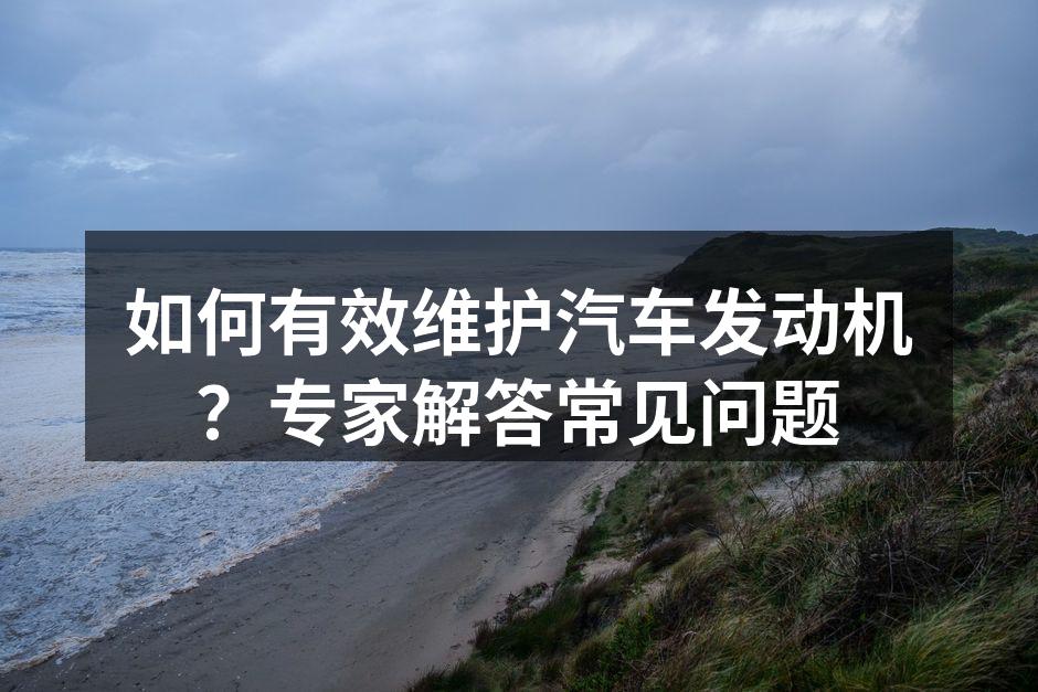 汽车发动机的维护示意图